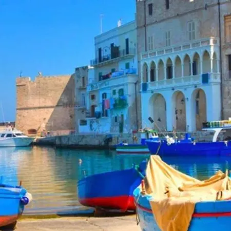 Stella Bianca سافيلّيتري