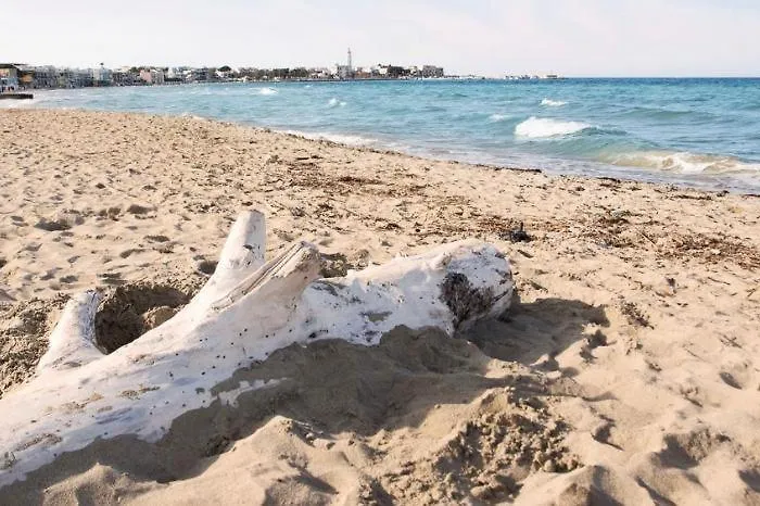 בית נופש Stella Bianca *