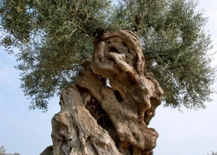 בית נופש Stella Bianca Savelletri